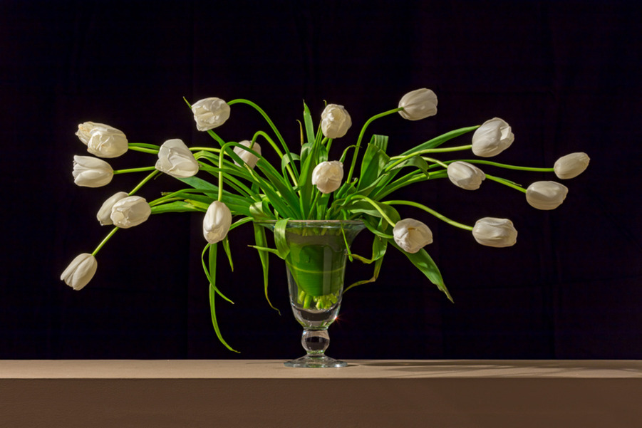 white tulips 72dpi-1.jpg
